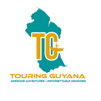 TG