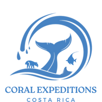 CE