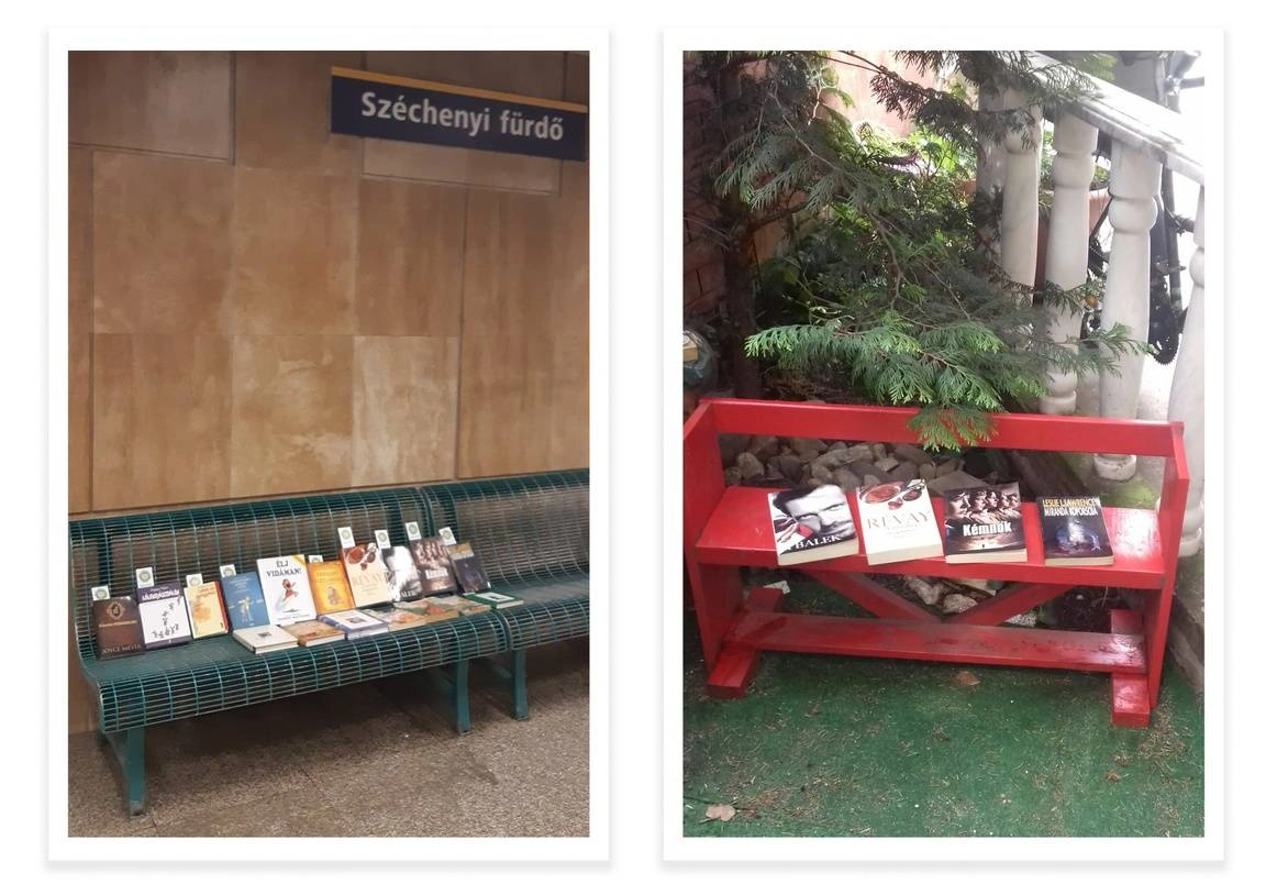 Magdolna and fellow idealists leave books on benches throughout their community in Budapest.