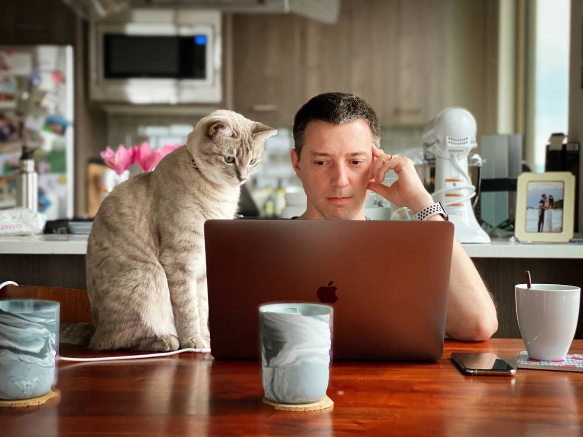 A man and his cat looking at a laptop screen during a work from home day.