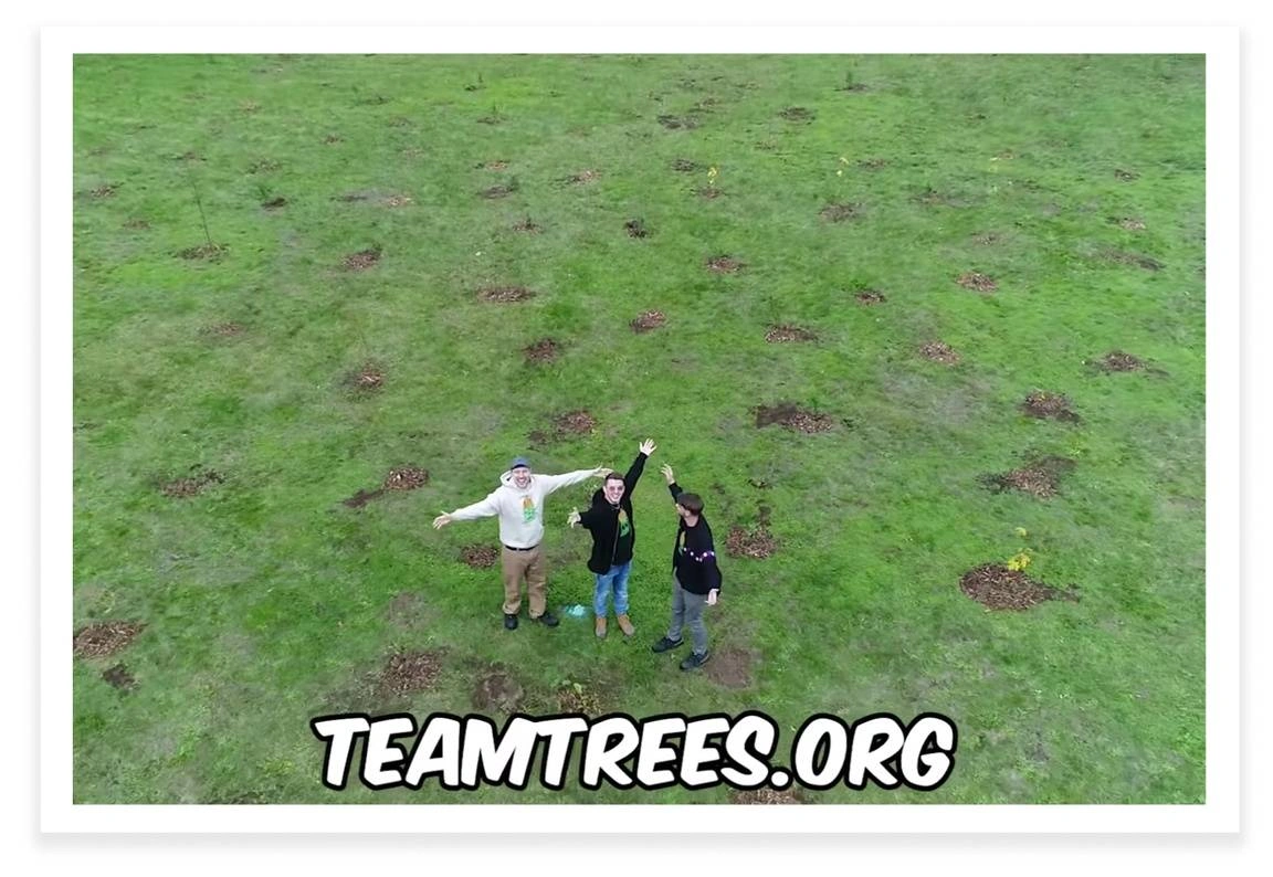 TeamTrees.org