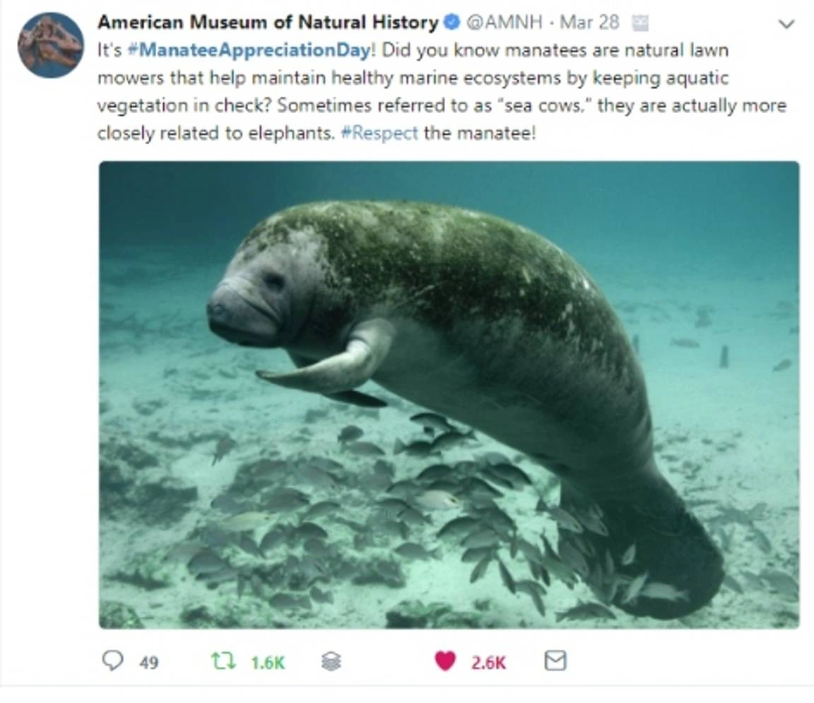 Social Media post from American Museum of Natural History.