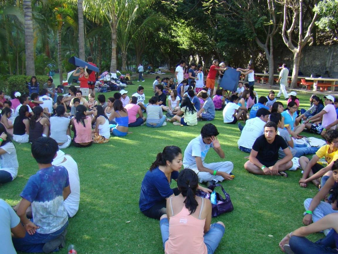 chicos y chicas sentados en un parque
