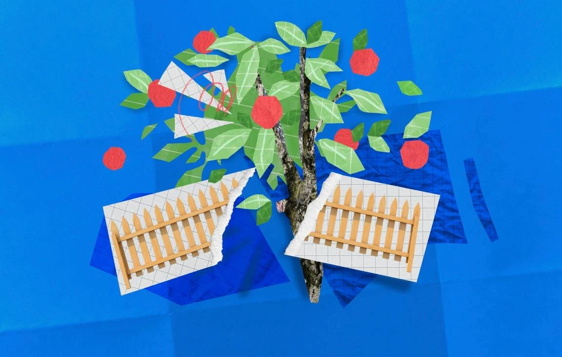 An image of a wooden fence is split into two pieces, with an apple tree sprouting up in between.