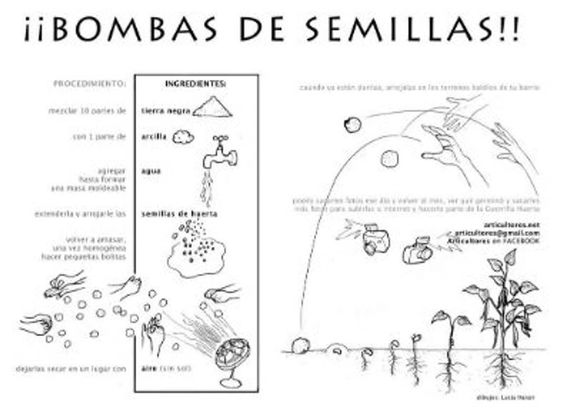 A graphic on how to create seed bombs.