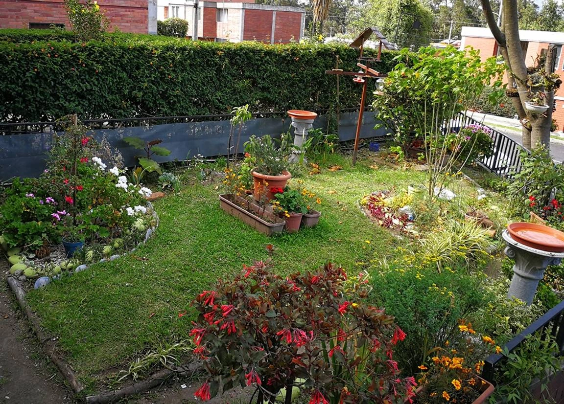 Foto de un jardín con muchas flores