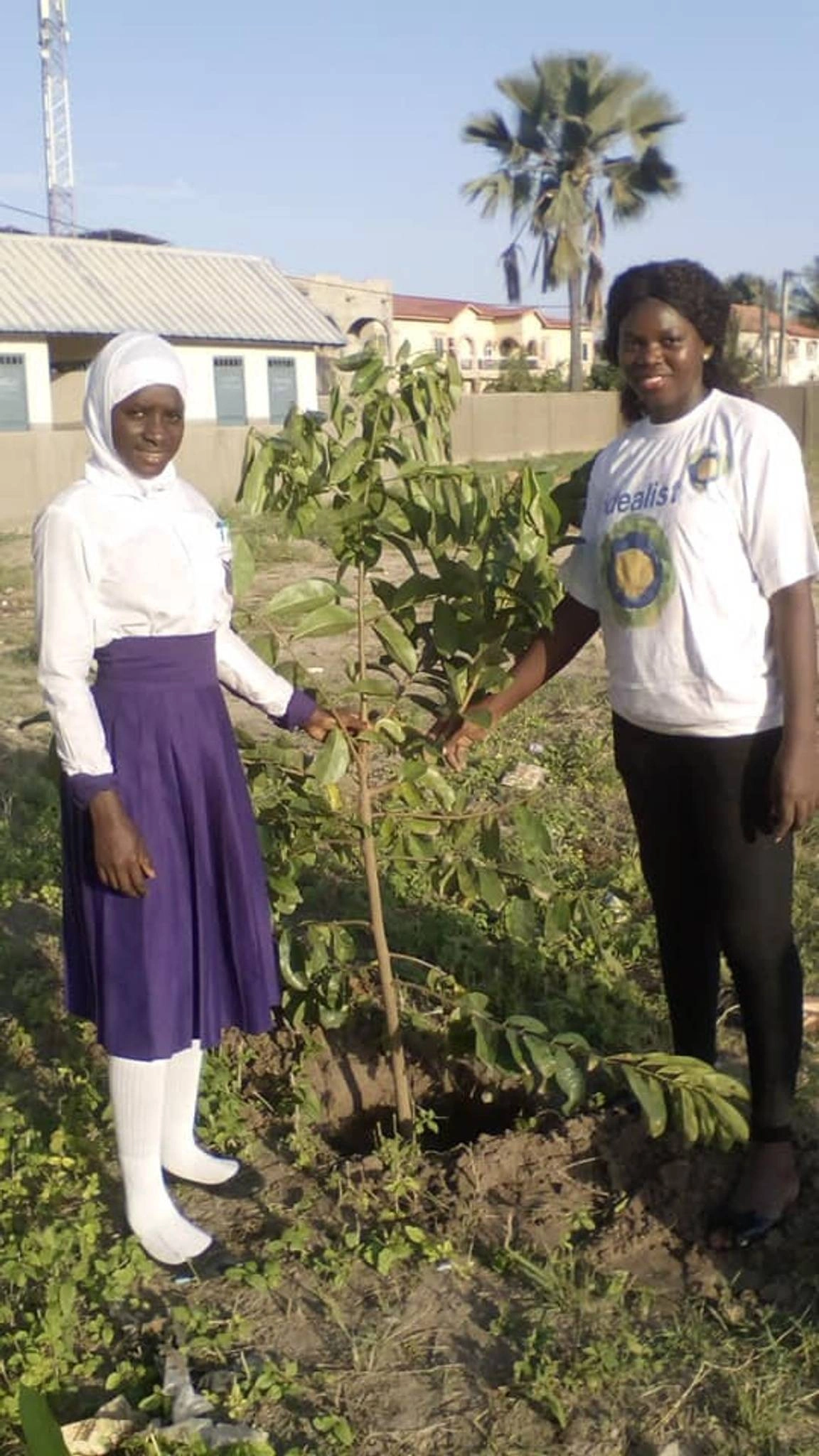 Plantación de árboles en Gambia