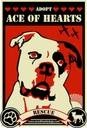 Logo de Ace of Hearts Dog Rescue