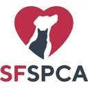 Logo of San Francisco SPCA