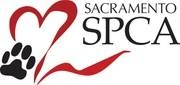 Logo of Sacramento SPCA