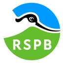 Logo de RSPB Northern Ireland