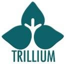 Logo de Trillium Employment Services