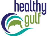 Logo de Healthy Gulf