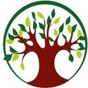 Logo de LearningSpring School