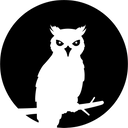 Logo of Night Owl Reconnaissance