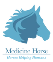 Logo of Medicine Horse