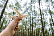 A photograph of a hand holding a toy airplane in the sky, with large trees behind it.