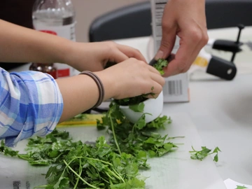 Hands preparing parsley during a Cooking Matters Maine class with Good Shepherd Food Bank of Maine.