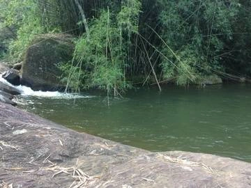 Bamboo Waterfall