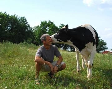 Gene Baur, president of Farm Sanctuary, poses with cow resident