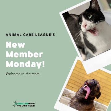 Animal Care League - Idealist