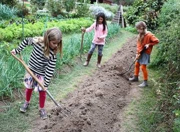 Sacramento Waldorf School's Lower School students in gardening class on the working farm
