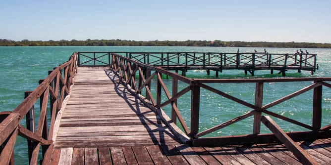 Environmental Conflict Resolution - Be part of an Initiative which aims to manage and settle environmental conflicts in Mexico