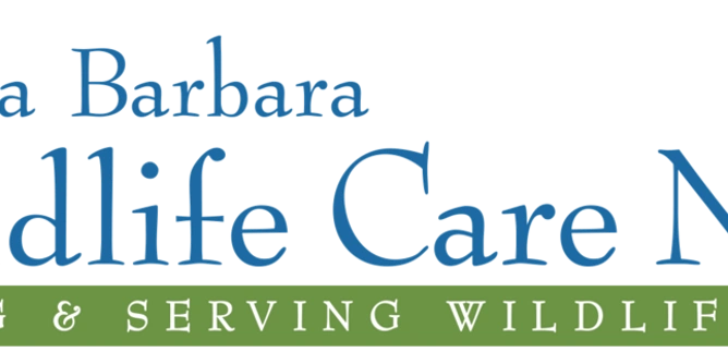 Weekday SBWCN Rescue & Transport Volunteers