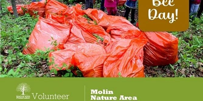 Stewardship Workday at Molin Nature Area/World Bee Day