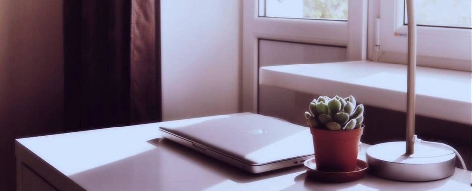 A desk with laptop, a lamp and a succulent plant.