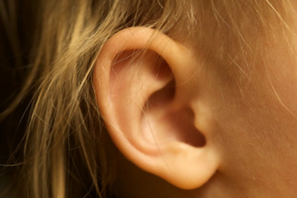 Una oreja de un niño