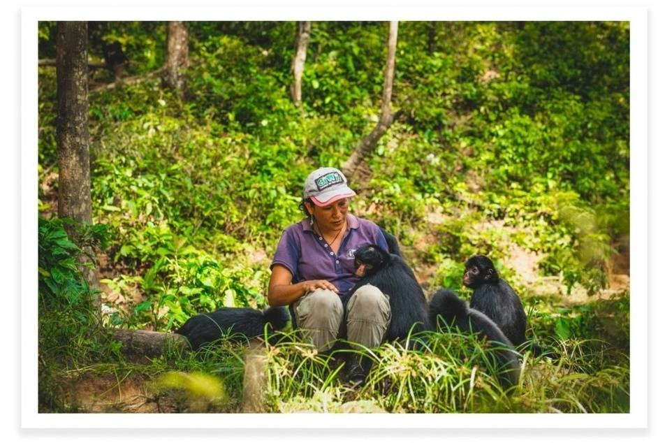 Mujer sentada con monos alrededor