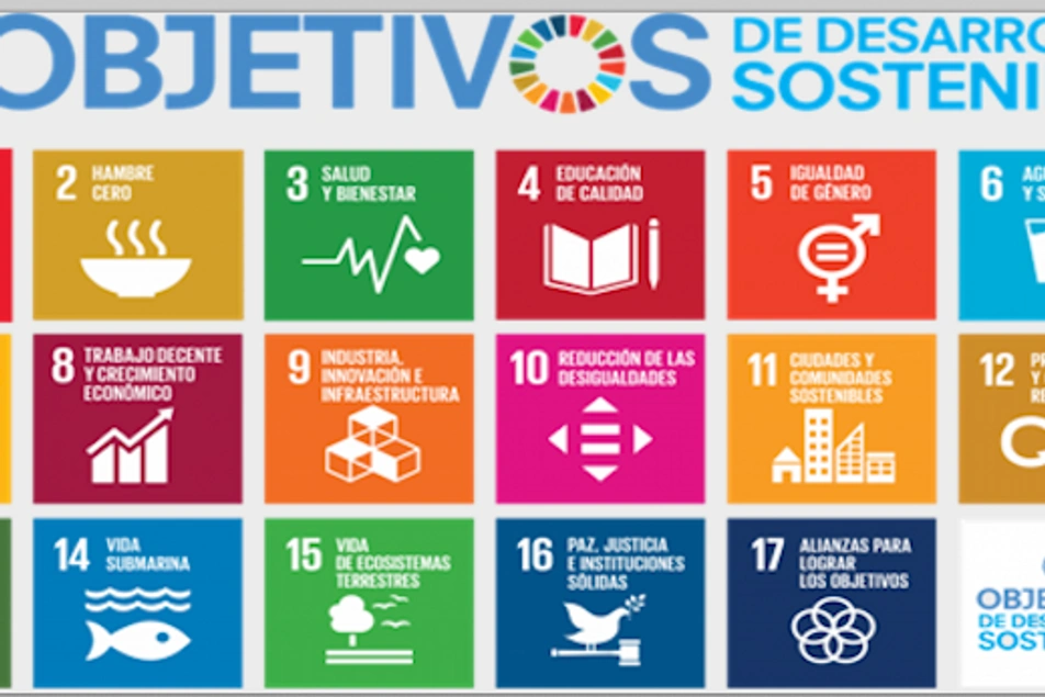 Los Objetivos de Desarrollo Sostenible (ODS)