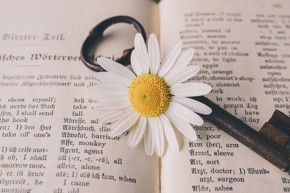 llave y flor sobre un libro