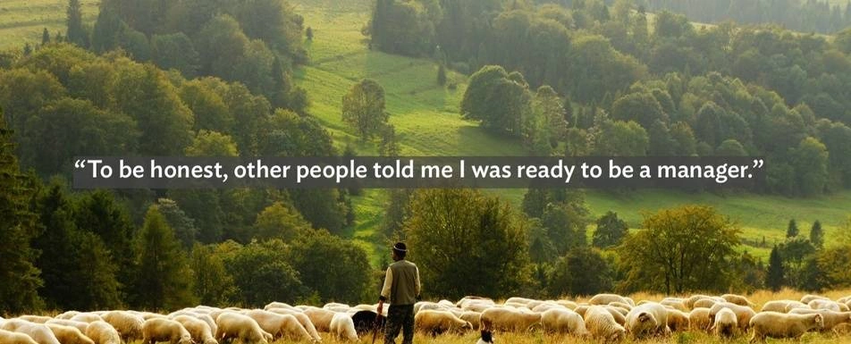 A quote with a picture of someone herding sheep in a field.