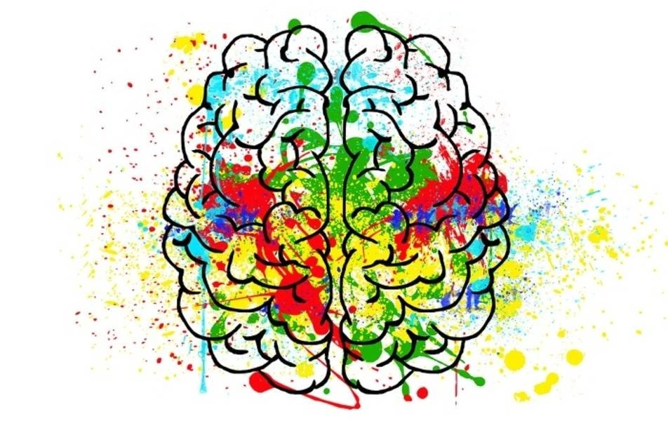ilustración de un cerebro lleno de colores