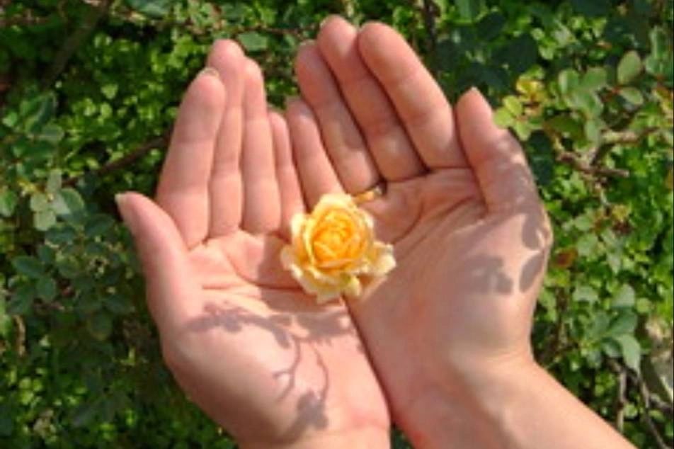 Unas manos sosteniendo una pequeña flor amarilla