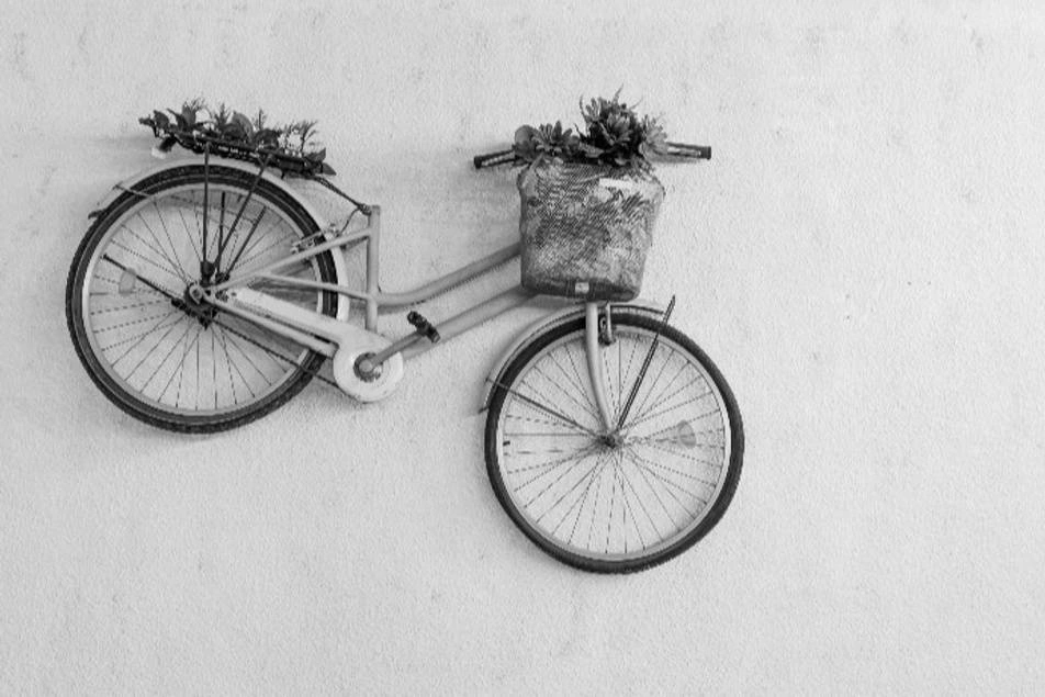 una bicicleta transformada en adorno de pared y macetero