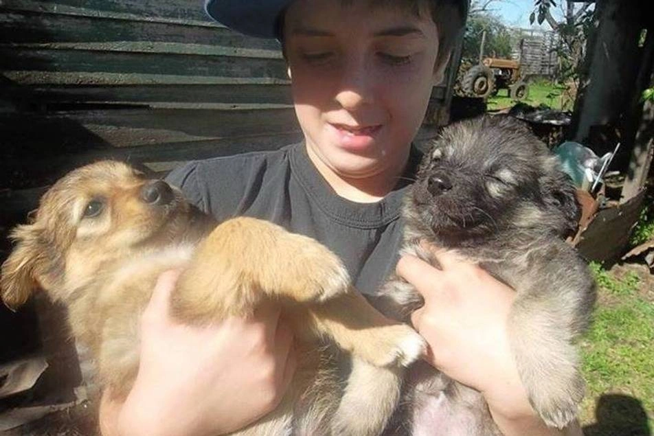 Niño cargando dos perritos