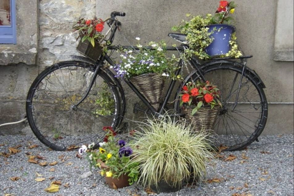 Una bicicleta llena de flores