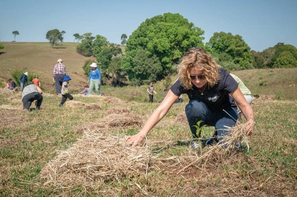 People volunteering and planting in a field.