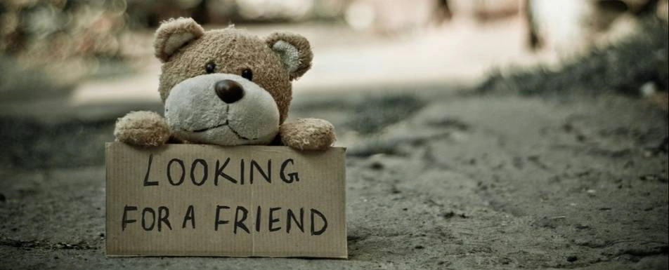 A teddy bear holding up a sign that says, "Looking for a friend."