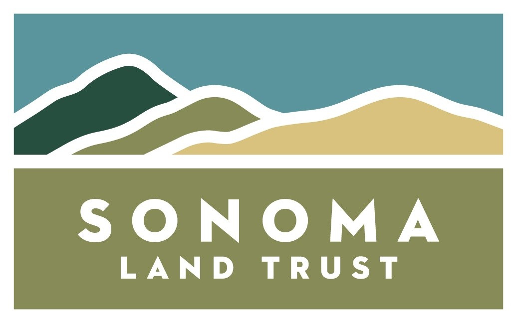 Executive Administrator and Board Liaison - Idealist