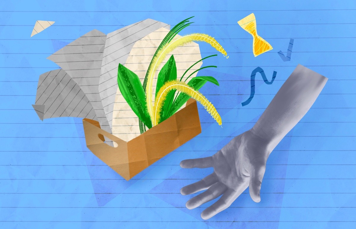 Template Toolbox | Leaving Your Job? Use This Transition Plan Template -  Idealist