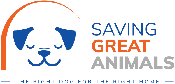 Saving Great Animals - Idealist