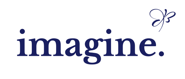 Imagine Consulting - Idealist