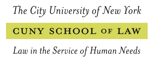 The Institute on Gender, Law and Transformative Peace Fellowships in  International Criminal Law and Human Rights Law - Idealist