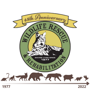 Wildlife Rescue and Rehabilitation - Idealist