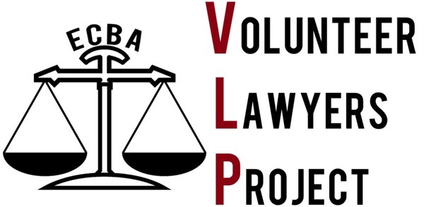 Remote Contract Mentoring Attorney: Afghan Asylum Project - Vimarsana News
