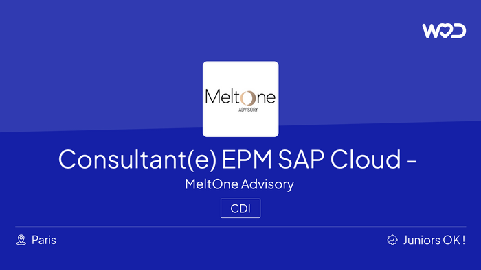 Consultant(e) EPM SAP Analytics Cloud (SAC) - H/F - IT job